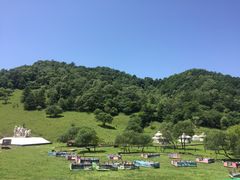 -大水川景区
