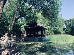 -莲湖公园