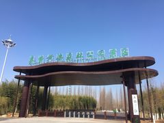 -黄海国家森林公园