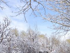 -朝阳公园游乐园