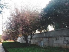 -淮海战役纪念馆