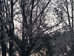 -绵阳人民公园(涪城区)