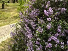 -国家植物园南园