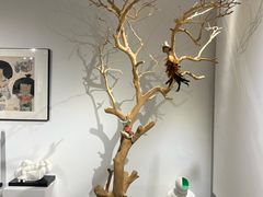 -小洲村