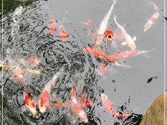 -云溪植物园