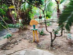 -呀路古热带植物园