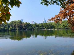 -东湖听涛景区