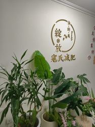 -寇氏减肥
