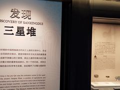 -四川大学博物馆
