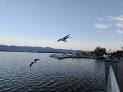-海埂大坝