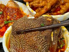 -红鼎坊·老成都火锅(新南门店)