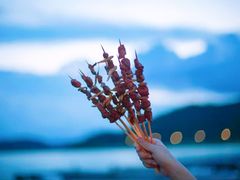 -上海山野camping·户外天幕烧烤·团建拓展营地