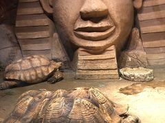 -皇家极地海洋世界-售票处