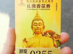 -西双版纳勐泐文化旅游区