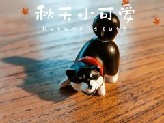 -VOYAGE COFFEE(北锣鼓巷店)