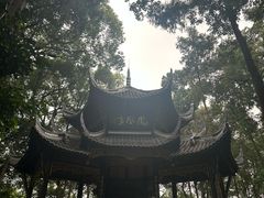 -峨眉山报国寺