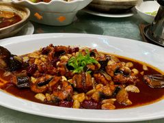 -丁老爷子苏香圆