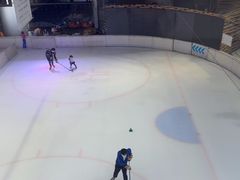 -TheRink大零溜冰场(IFS国金中心店)