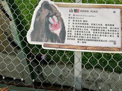 -西安秦岭野生动物园