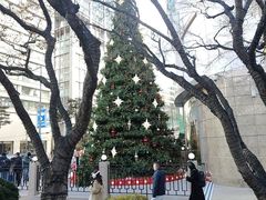 -乐天免税店(明洞店)