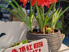 -昆明国际花卉拍卖交易中心