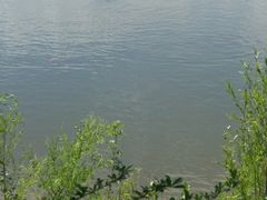 -呼兰河口湿地公园