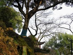 -西泠印社