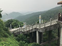 -铁山坪森林公园