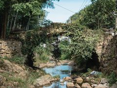 -天台山景区