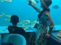 -瑞德姆美人鱼海底演艺主题餐厅(亚龙湾店)