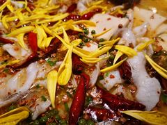 -太二酸菜鱼(沈阳万象城店)