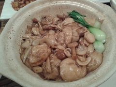菌菇面筋煲-青年公社烤鸭(青年路店)