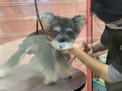 -FAELING PETS美天灵宠物(合生汇店)