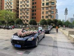 -蚂蚁婚车