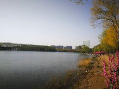 -大兴滨河森林公园