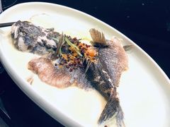 铁观音豆浆煮鱼片-荷风细雨·中国茶宴(碧云店)