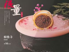 -黑松白鹿(金融街店)