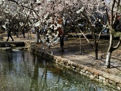 -三里河公园