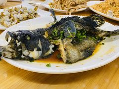 清蒸石斑鱼-明记海鲜大排档(巽寮湾店)