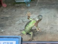 -黔灵山公园