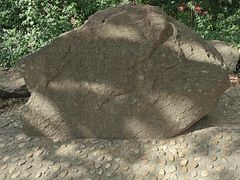 -上海佘山国家森林公园天马山园