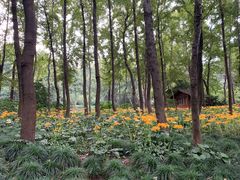 -杭州植物园