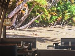 -大头椰·椰子鸡火锅(南宁万象城店)