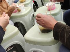 -燕子煨汤(山海关路店)