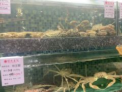 -宝燕壹号(徐汇店)