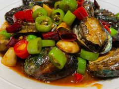 辣炒小鲍鱼-双合园·海鲜水饺青岛菜(九水东路店)