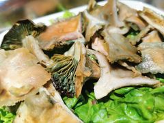 -爱膳菌锅锅(阳南店)