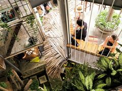 -Rainforest