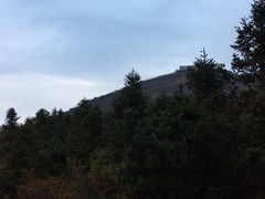 -东白山