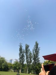 点击看大图 -醉库庄园·宴会厅·草坪婚礼场地
